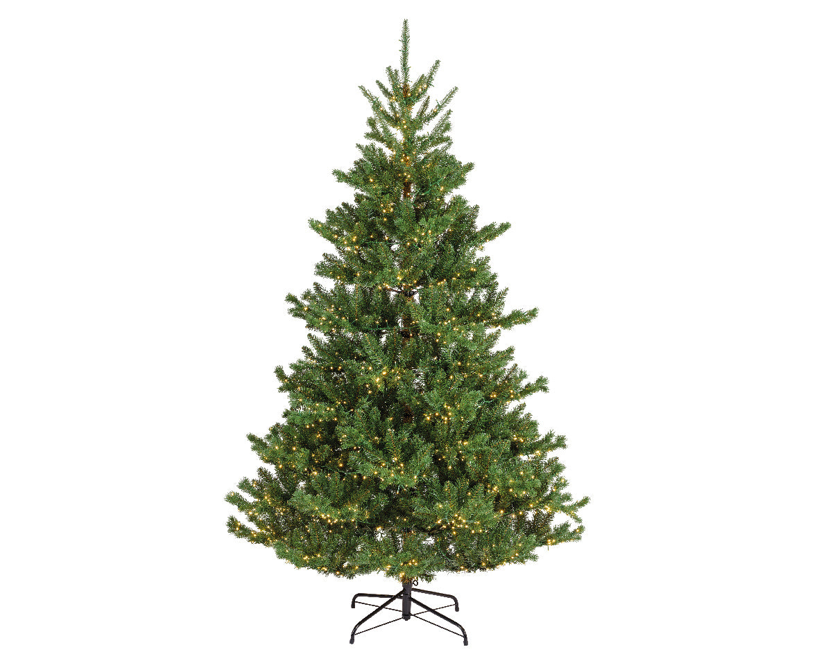 Everlands 7ft Pre Lit ‘Alba Fir'