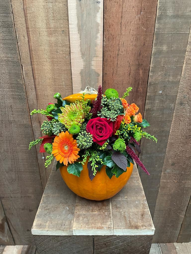 Small Autumn Pumpkin Arrangement