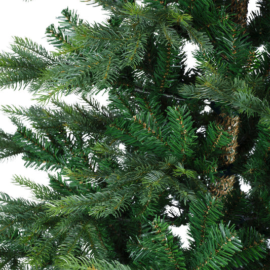 Everlands 7ft 'Grandis Fir'