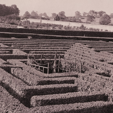 Historic Maze - Wentworth Garden Centre