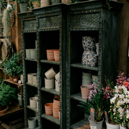 Pots and houseplants - Wentworth Garden Centre