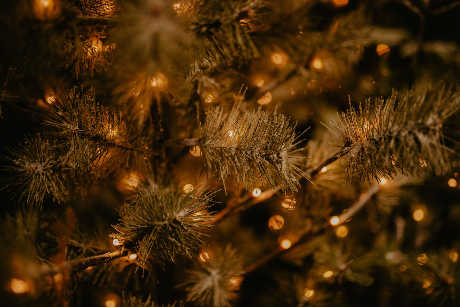 Artificial Christmas Trees - Wentworth Garden Centre