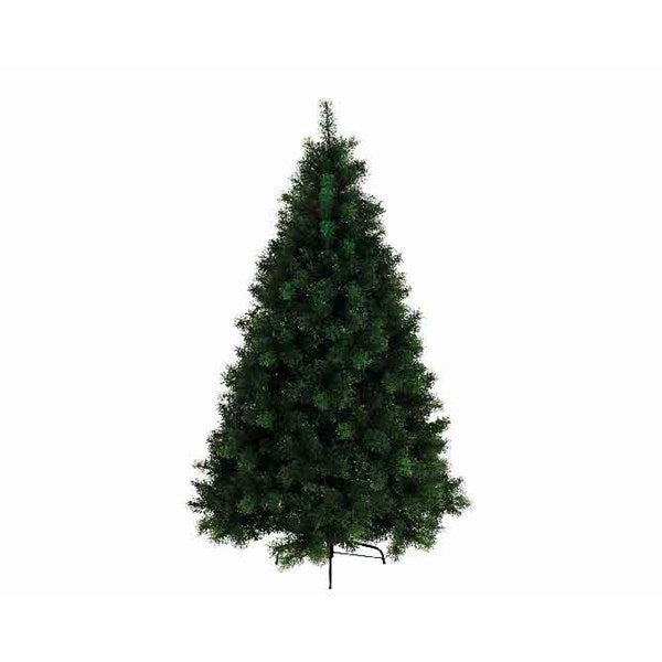 Everlands 6ft 'Vancouver Pine'
