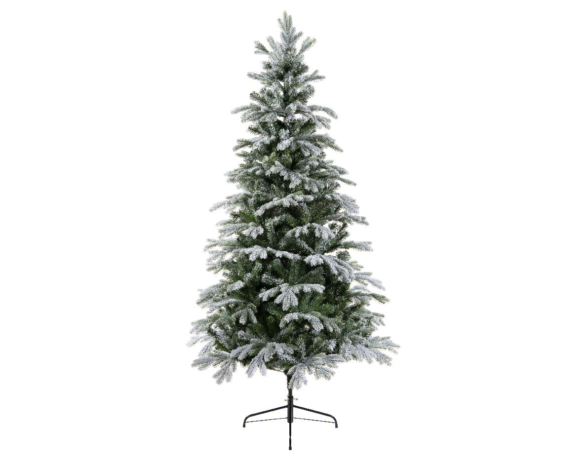 Everlands 6ft 'Frosted Sunndal Fir'