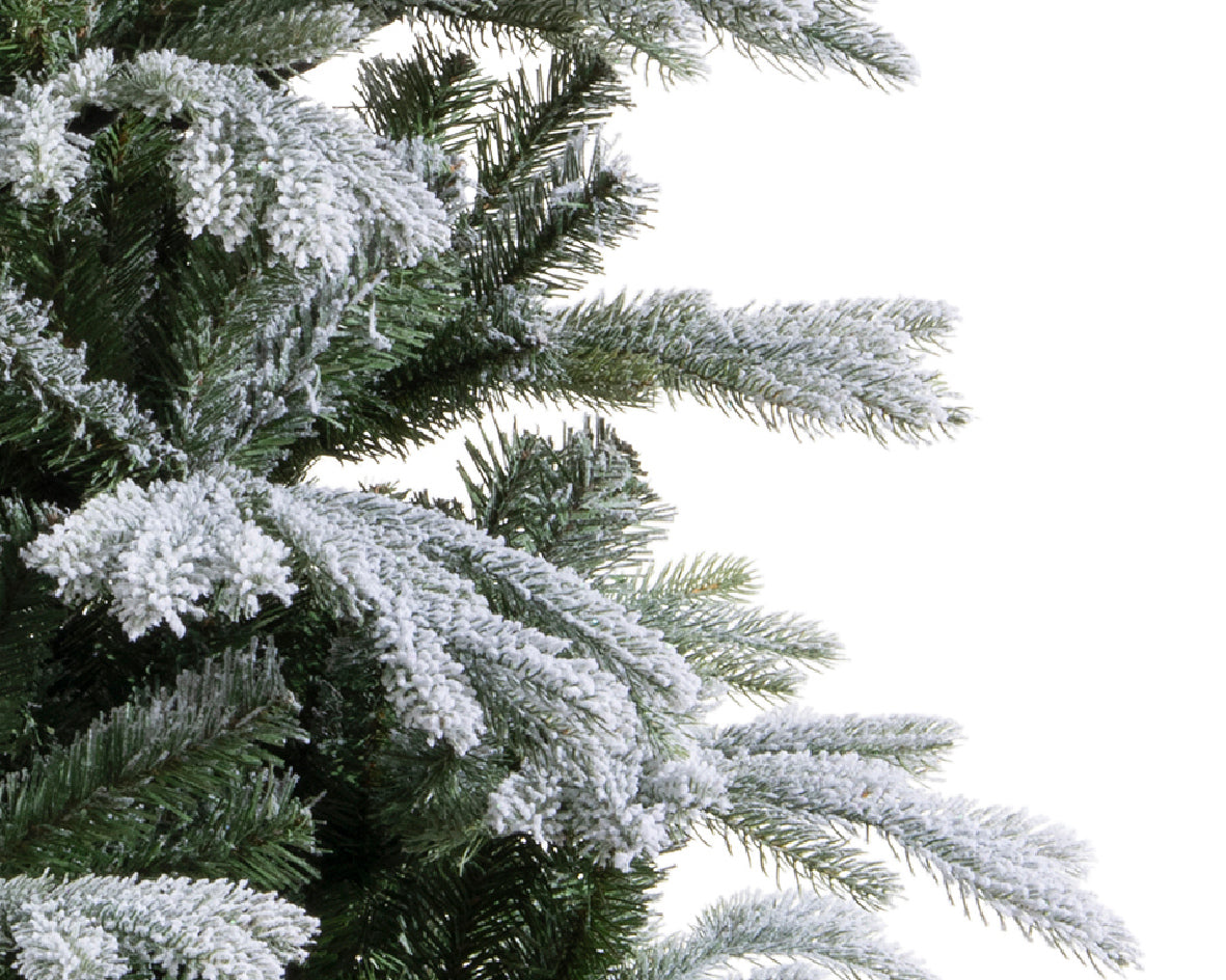 Everlands 7ft 'Frosted Sunndal Fir'