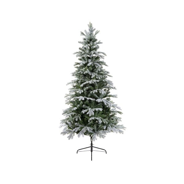 Everlands 7ft 'Frosted Sunndal Fir'