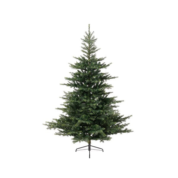 Everlands 7ft 'Grandis Fir'
