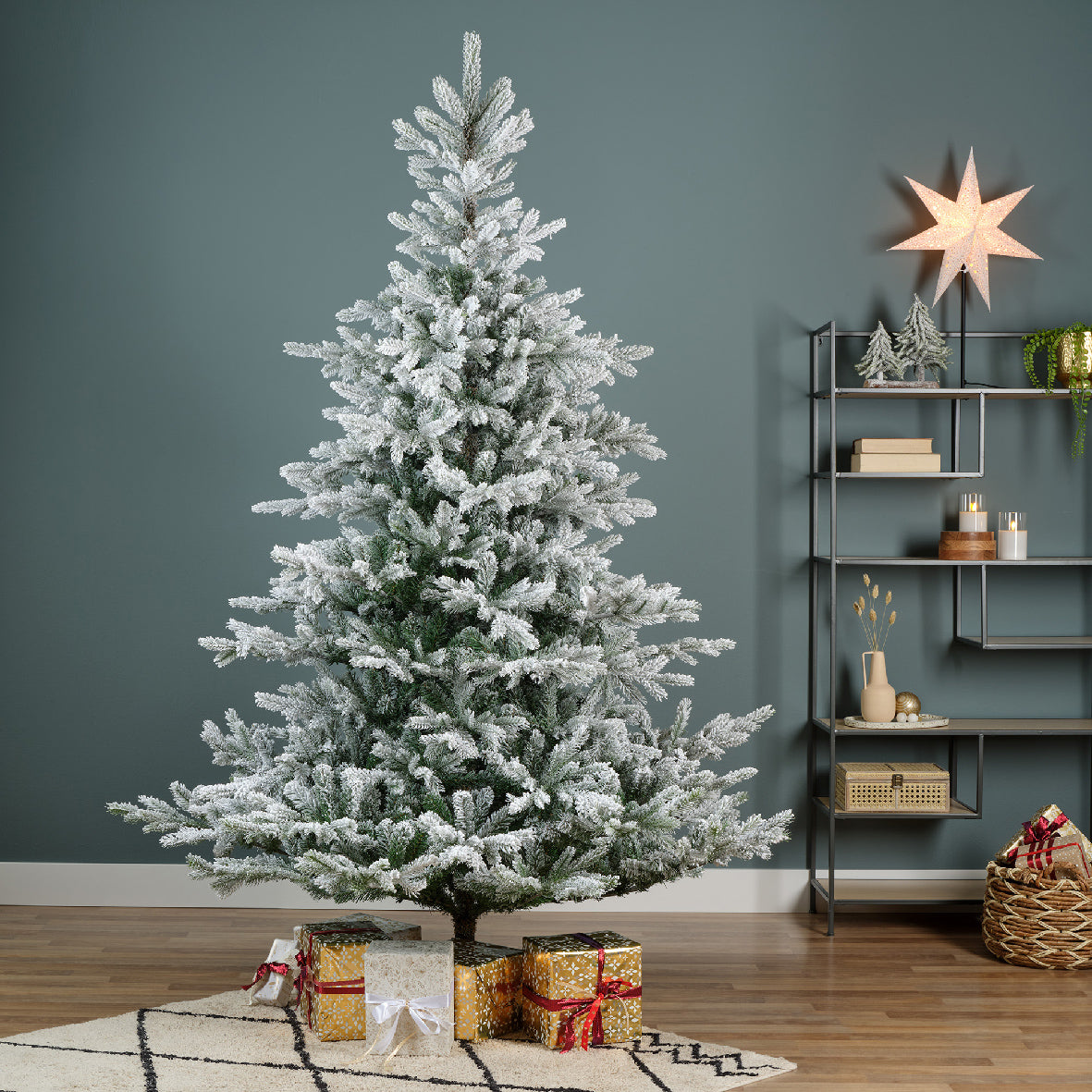 Everlands 6ft 'Snowy Grandis Fir'