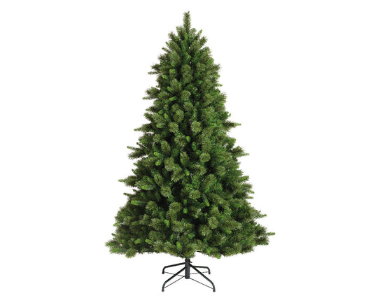 Everlands 7ft 'Edmonton Spruce'