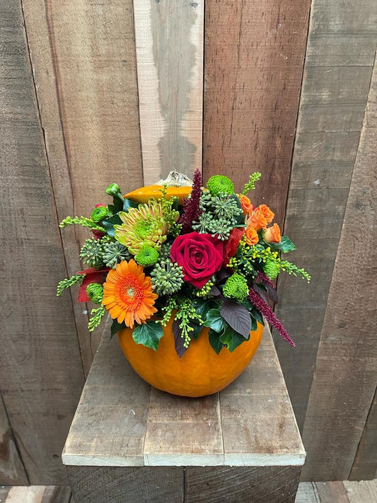 Small Autumn Pumpkin Arrangement