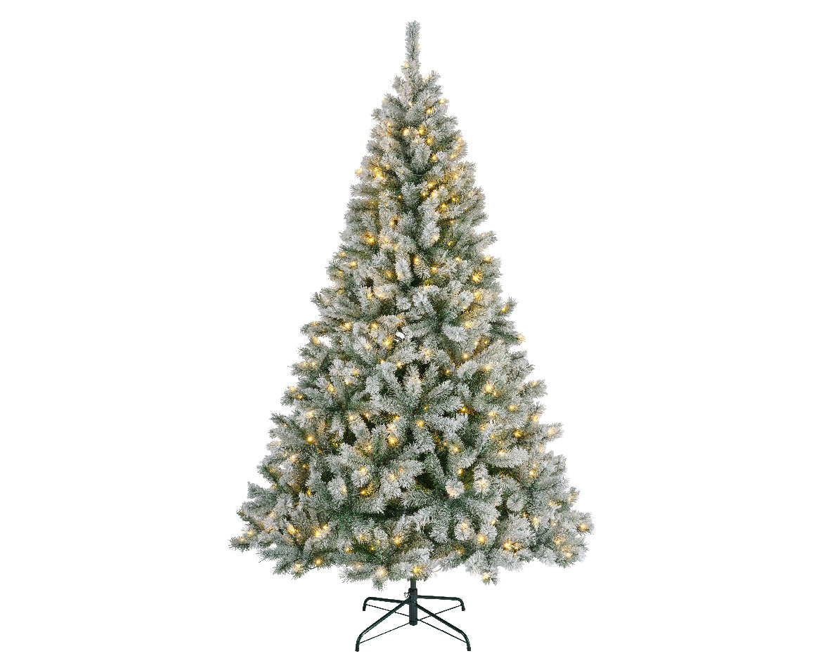 Everlands 7ft Pre Lit ‘Frosted Canada Spruce'