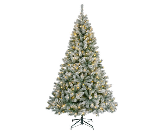 Everlands 7ft Pre Lit ‘Frosted Canada Spruce'
