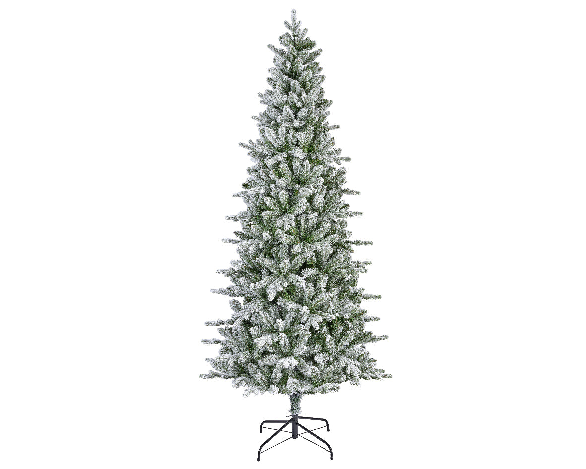 Everlands 6ft 'Frosted Killington Fir'