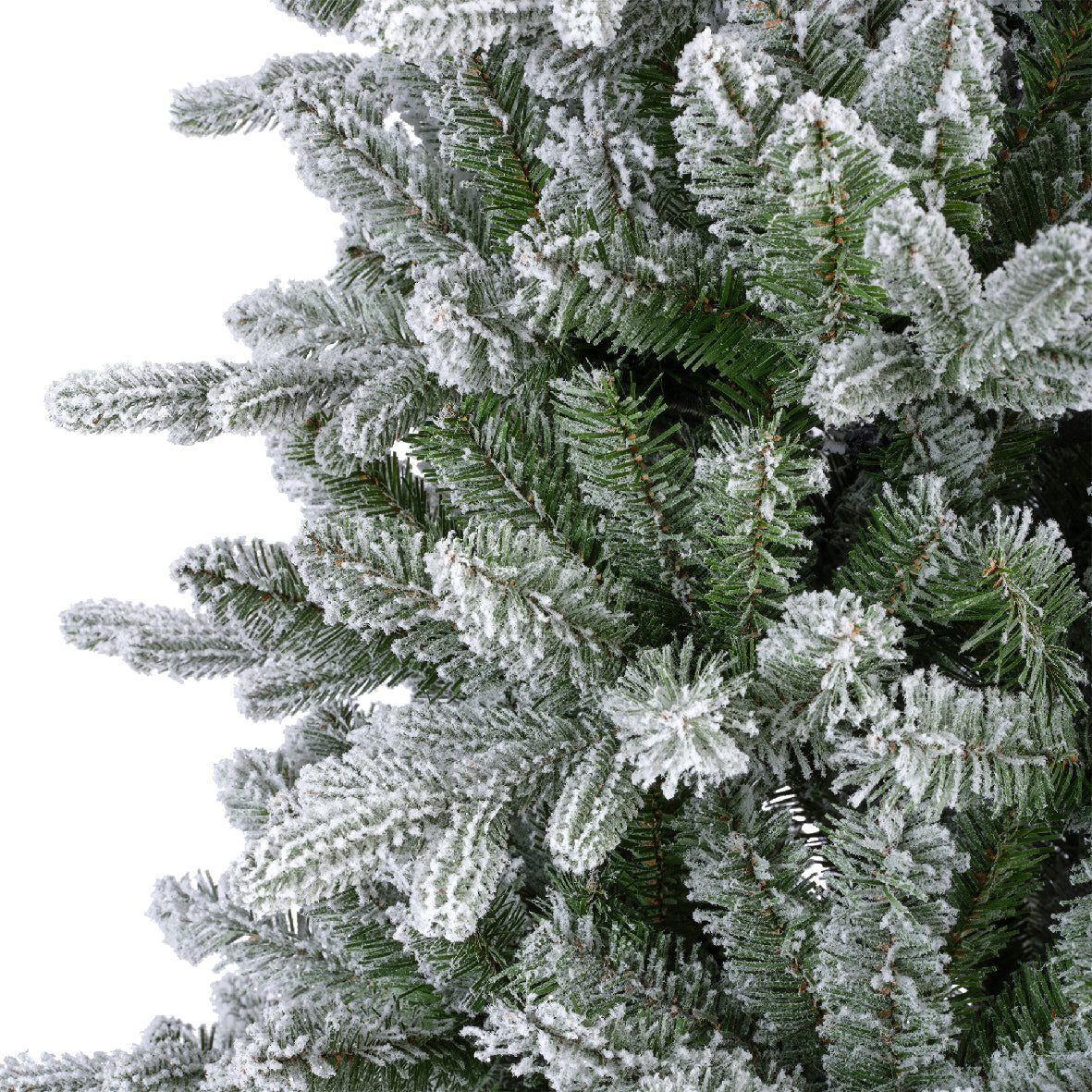 Everlands 6ft 'Frosted Killington Fir'