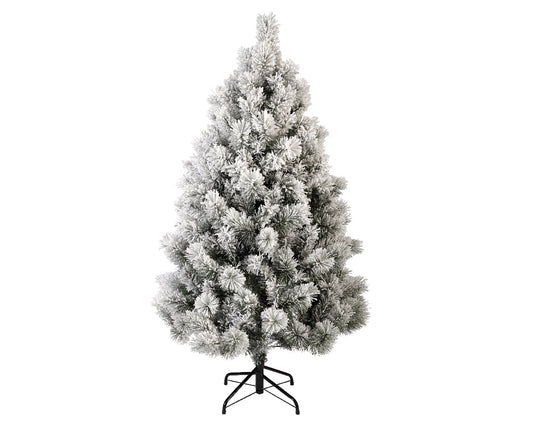 Everlands 5ft ‘Snowy Vancouver Pine'