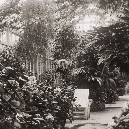 Greenhouse Historic Gardens - Wentworth Garden Centre