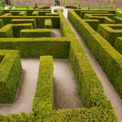 Millenium Maze - Wentworth Garden Centre