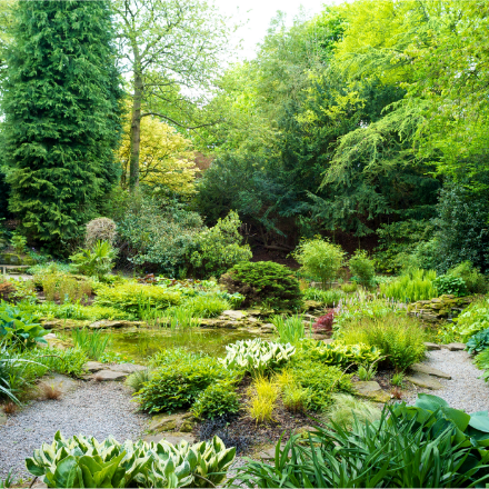 Rock Garden - Wentworth Garden Centre