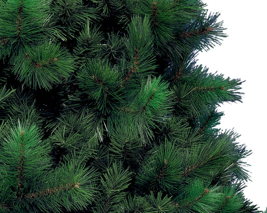Everlands 6ft 'Vancouver Pine'