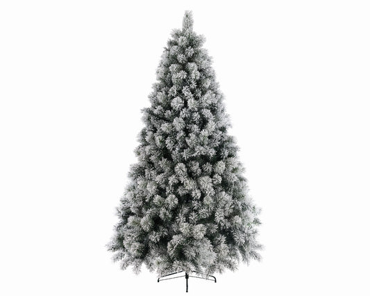 Everlands 6ft 'Snowy Vancouver Pine'