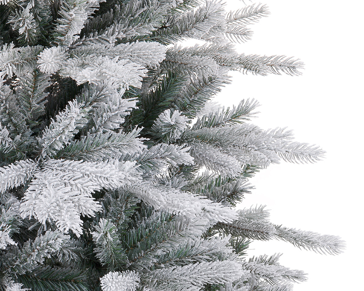 Everlands - 6ft 'Frosted Vermont Spruce'