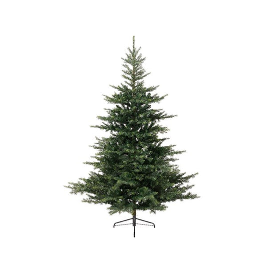 Everlands 7ft 'Grandis Fir'
