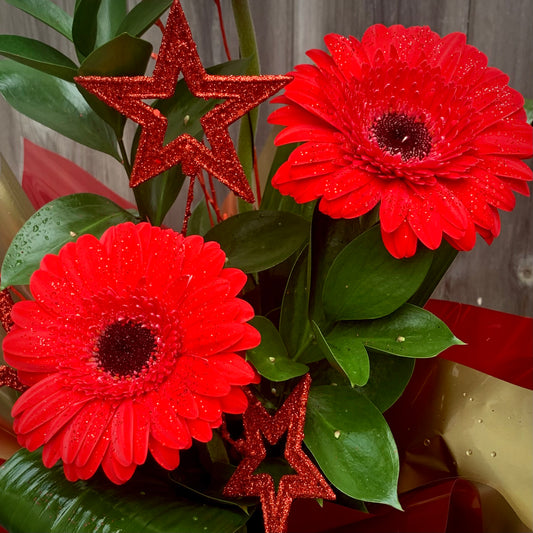 Festive Flowers - Red Gerbera Arrangement